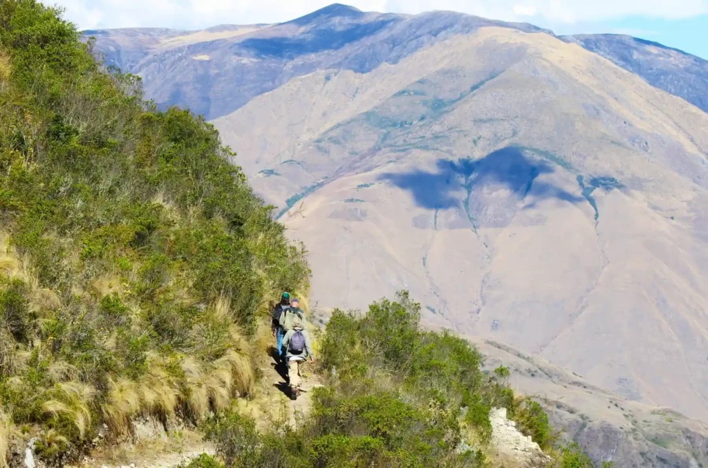 Condor Sighting Tour in Cusco — “Flight of the Andean Monarchs” (Canyon of the Condors) 4 King of the Andes_ A Sacred Condor Journey from Cusco